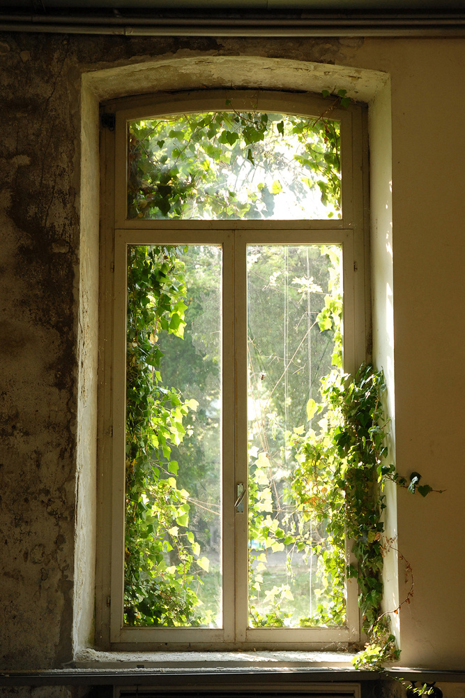 Akustikbild FENSTER BEWACHSEN 80x120cm, 7kg
