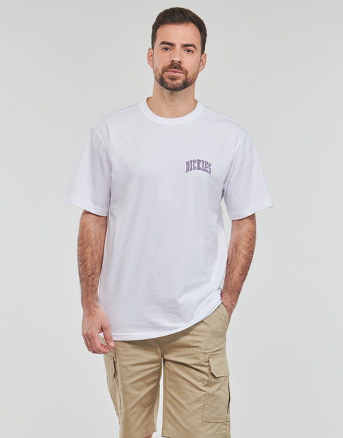Dickies - AITKIN CHEST TEE SS - Blanc