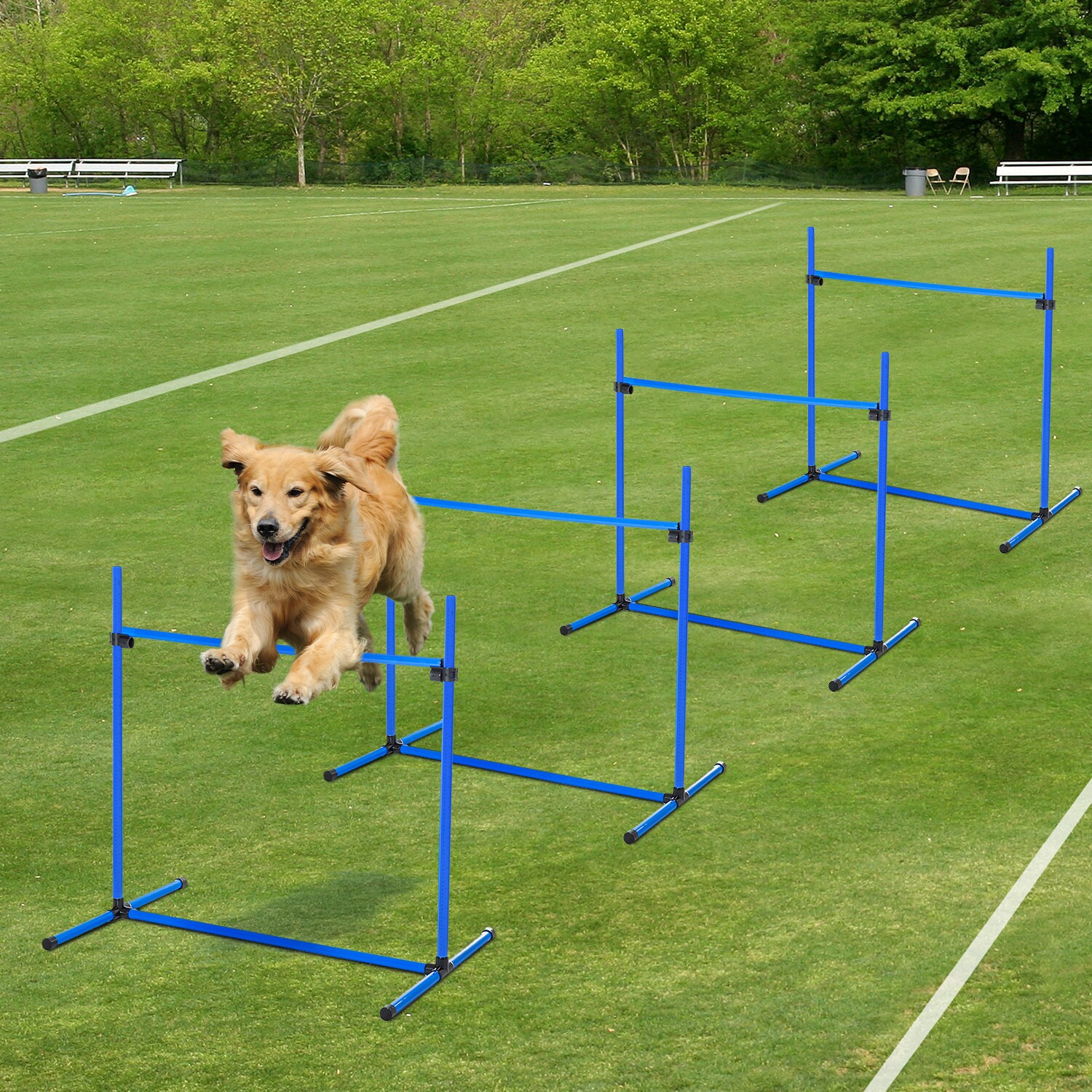 PawHut Agility Hürdenset als 4er Set blau 95 x 65 x 95 cm (LxBxH)