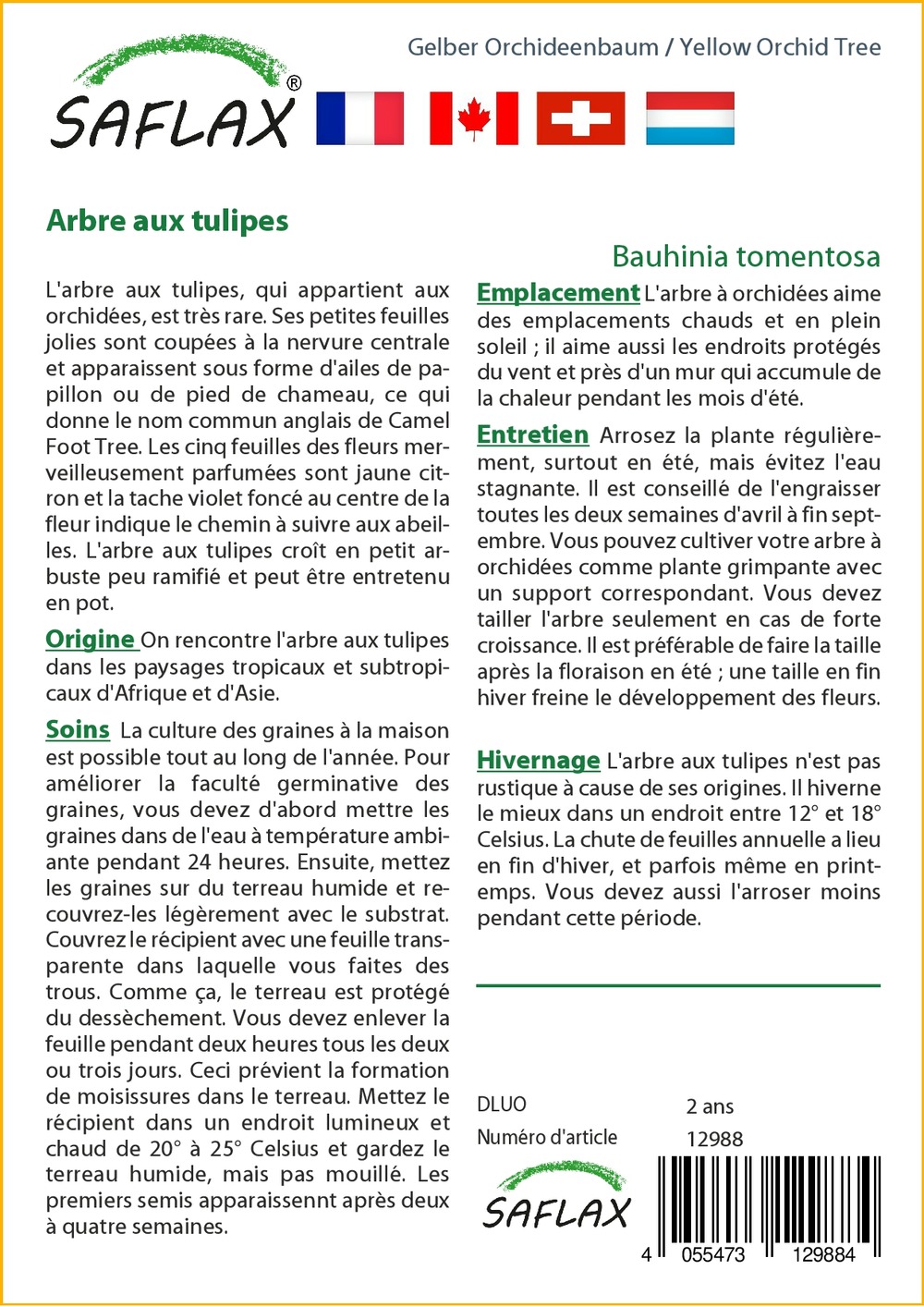 Arbre aux tulipes - 30 graines - avec substrat - bauhinia tomentosa