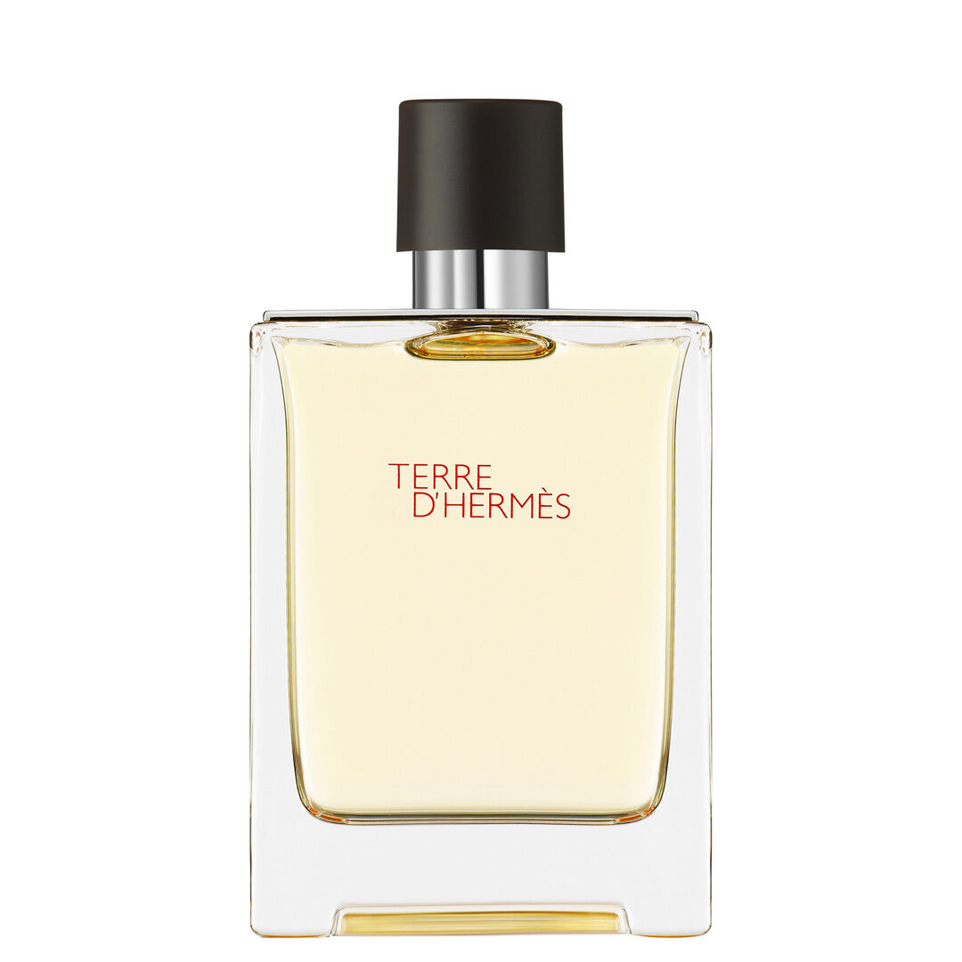 Hermès TERRE D'HERMES Eau de Toilette - 100ml