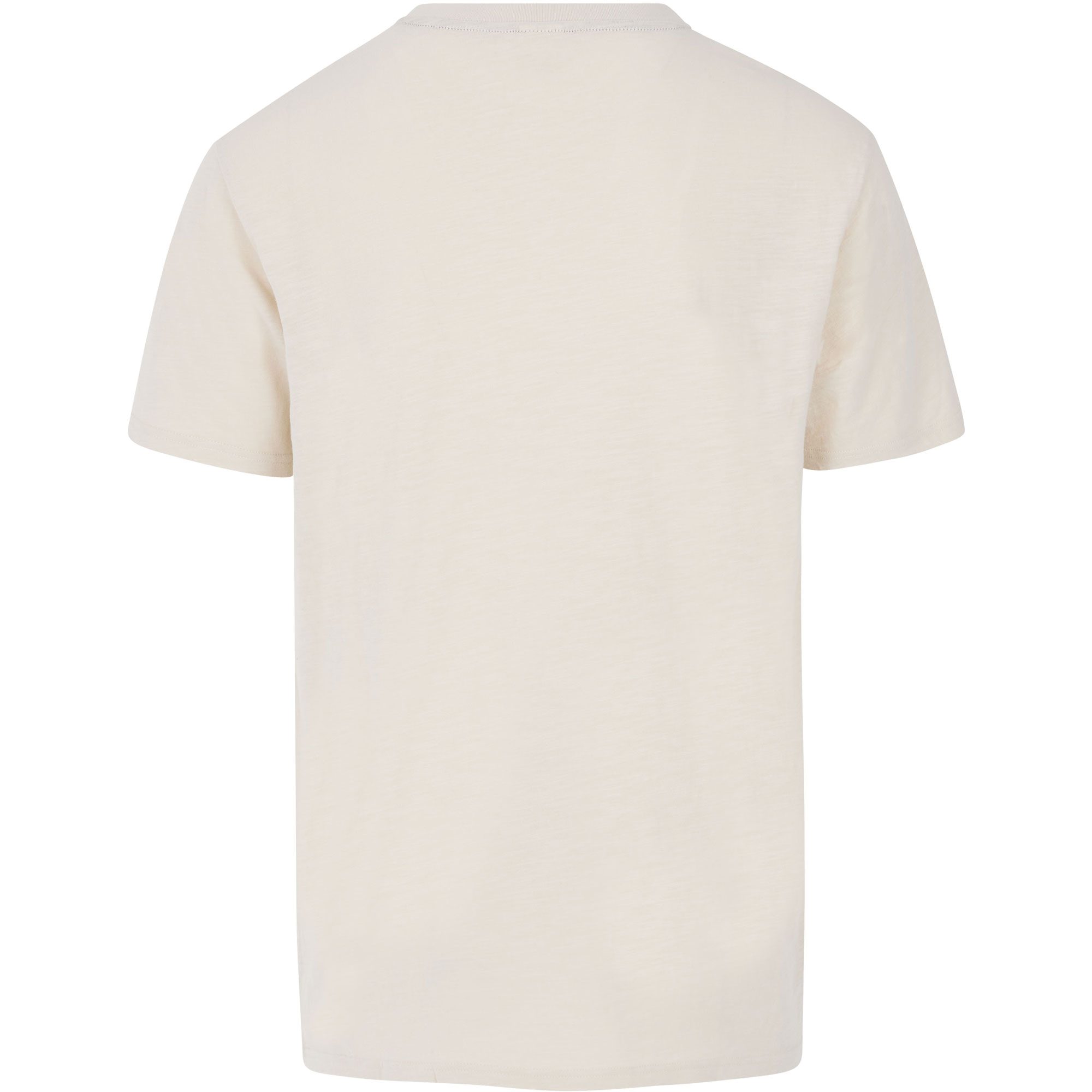 Protest Pleco T-Shirt Herren kittoffwhite