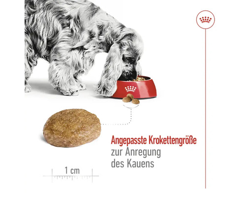 Droog hondenvoer, ROYAL CANIN Medium Adult 7+, 15 kg
