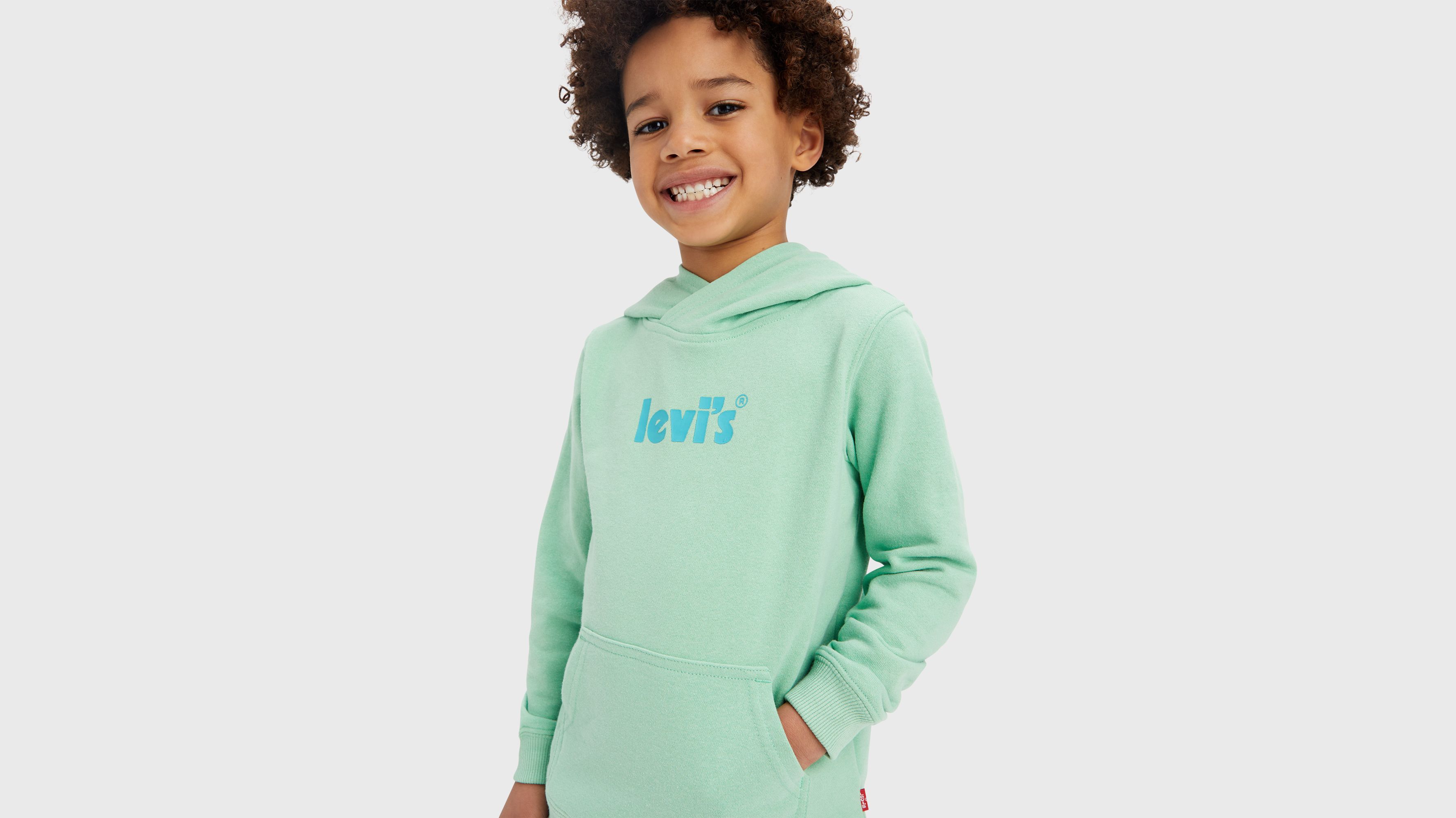 Sweat à capuche logo poster - Meadow - Vert