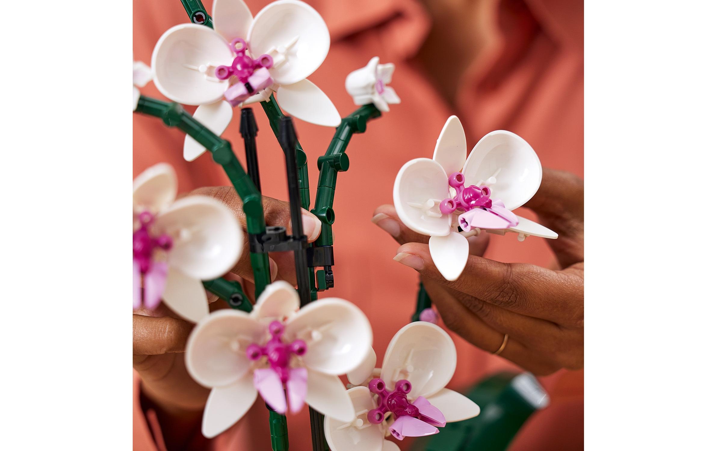 Icons Botanicals Collection: Orchidee 10311Individuell gestaltbares Modell