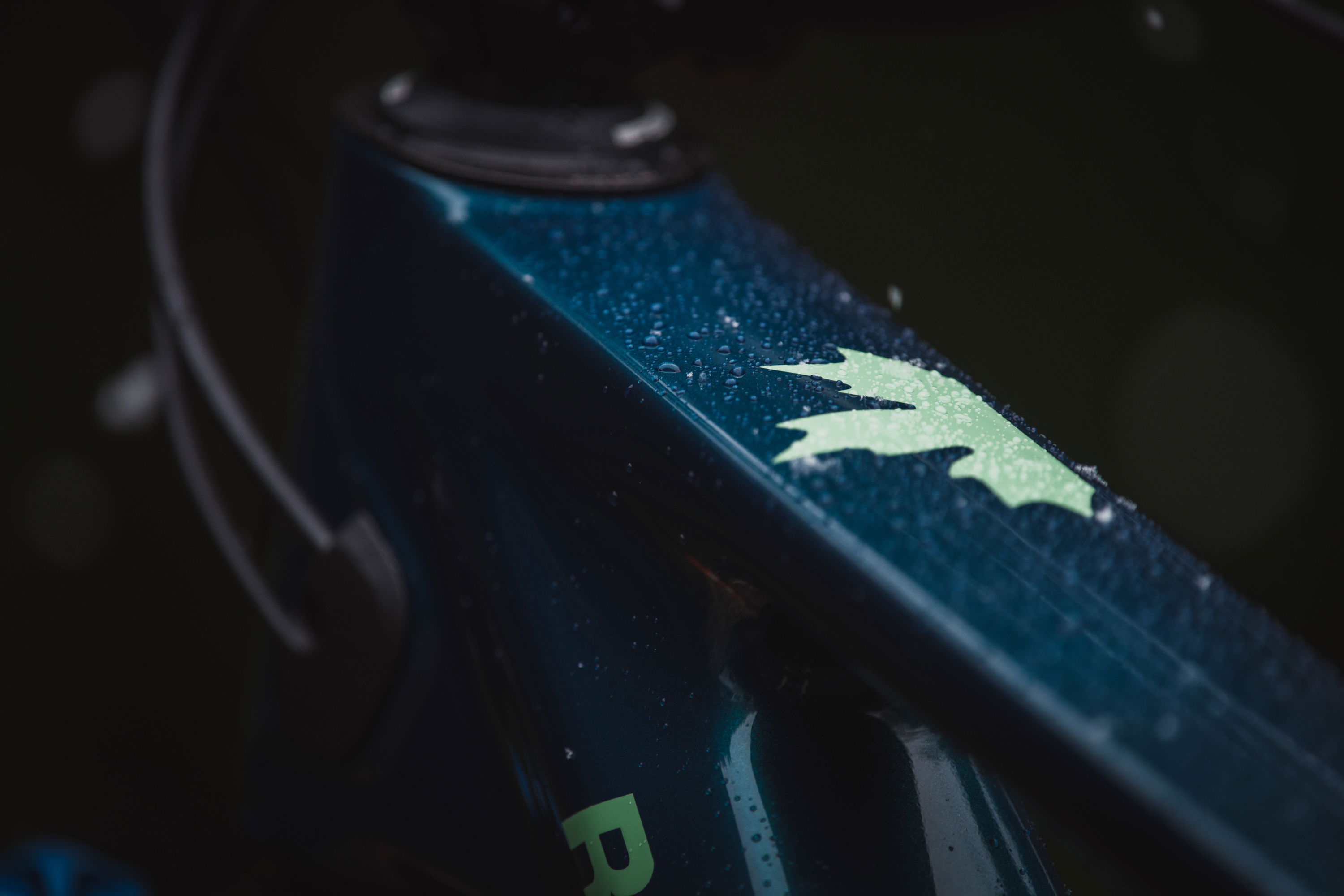 Rocky Mountain Altitude Carbon 50