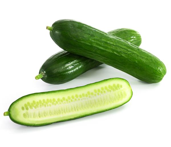 Dehner Gourmet Garten Mini Schlangengurke,