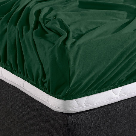 HC Dubbel Jersey Hoeslaken - Botanical Groen