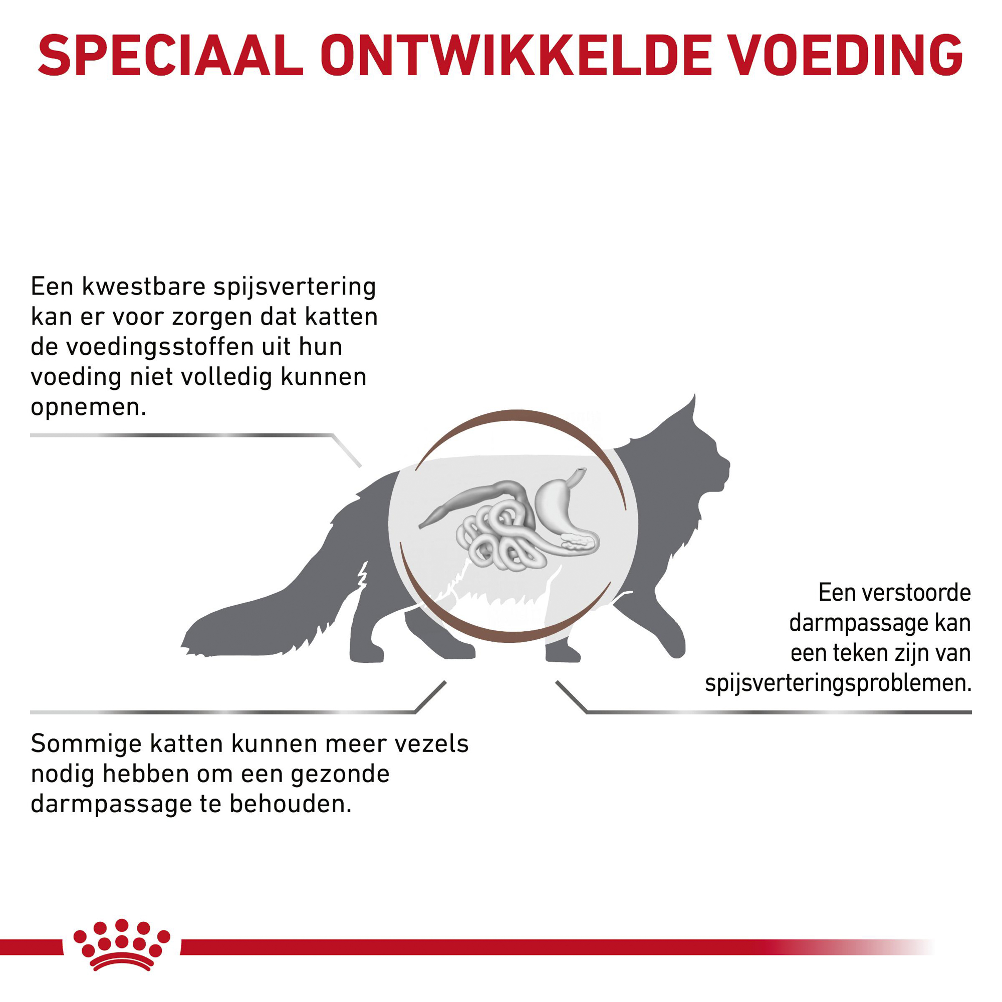 Royal Canin Gastrointestinal Fibre Response Kat