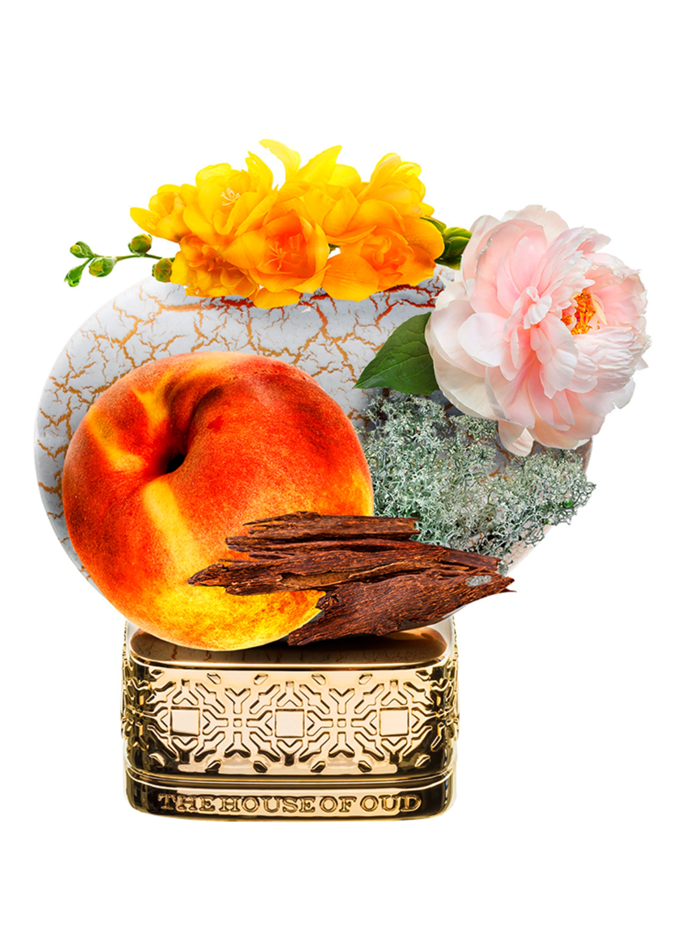 THE HOUSE OF OUD BREATH OF THE INFINITY