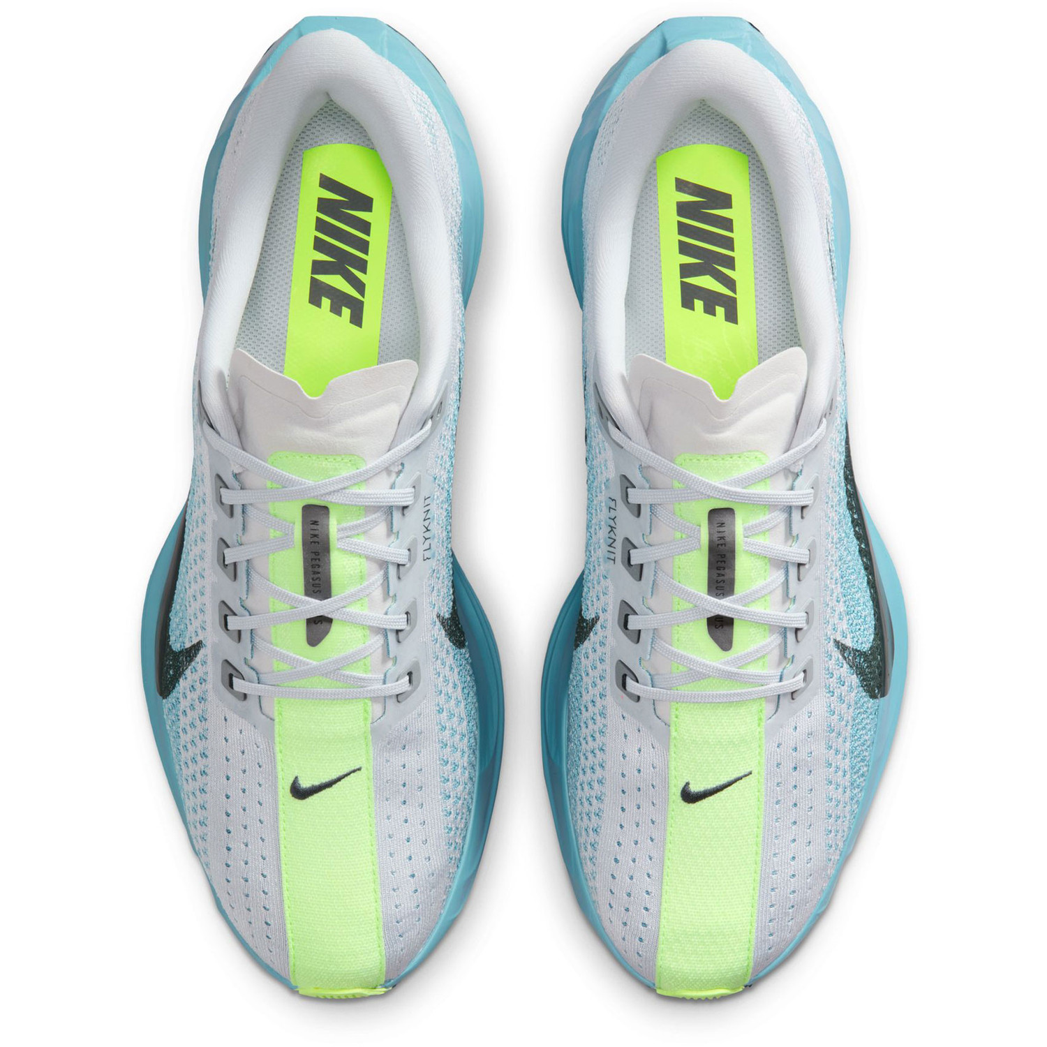 Nike Pegasus Plus Heren