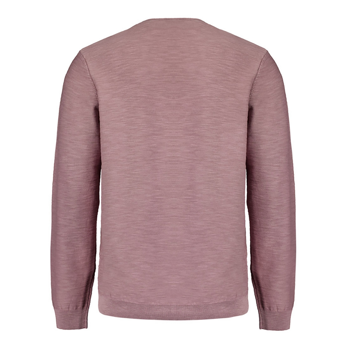 Heren Trui 27210106SN