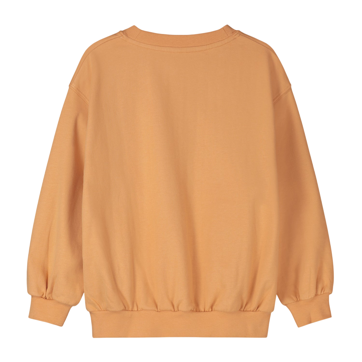 Sweatshirt Melon