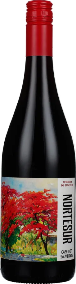PUNCTUM NORTE SUR CABERNET SAUVIGNON 75CL