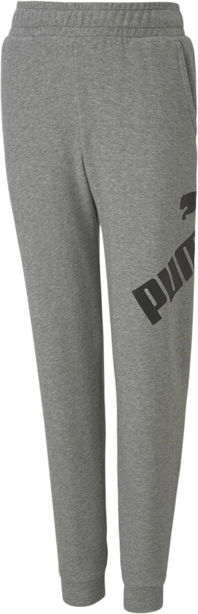 Puma Big Logo Bukser Grå