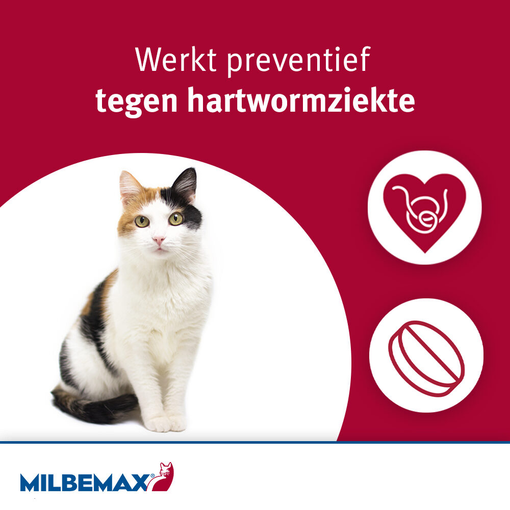 Milbemax Kat