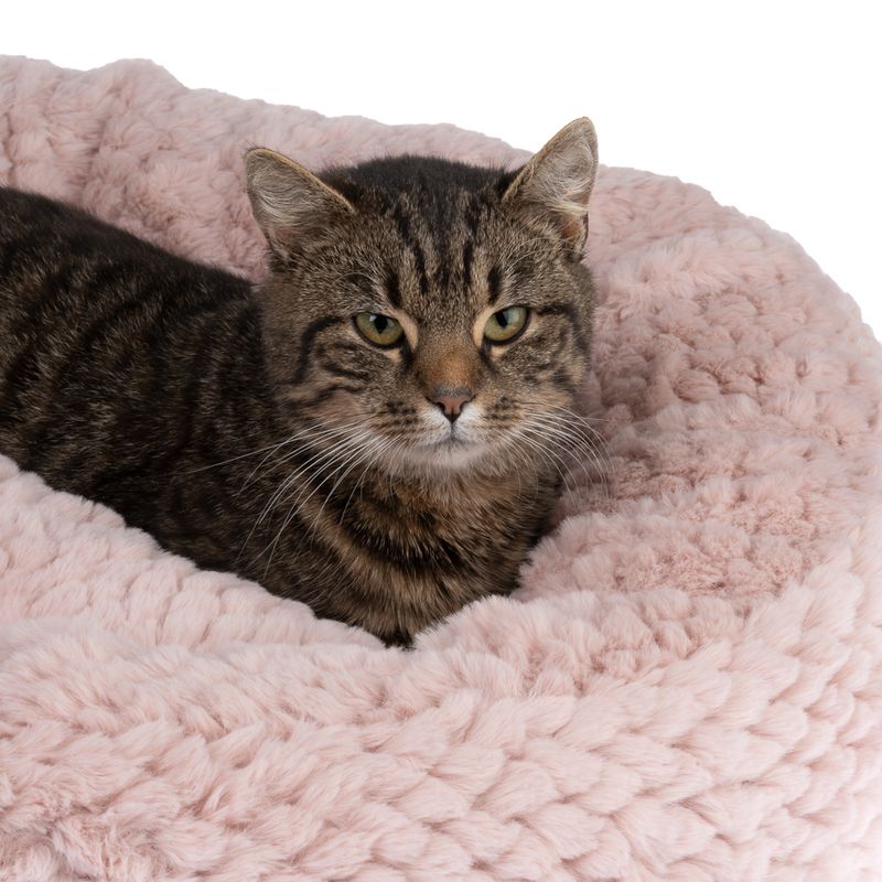 Panier Modern Living Cidra pour chat et petit chien