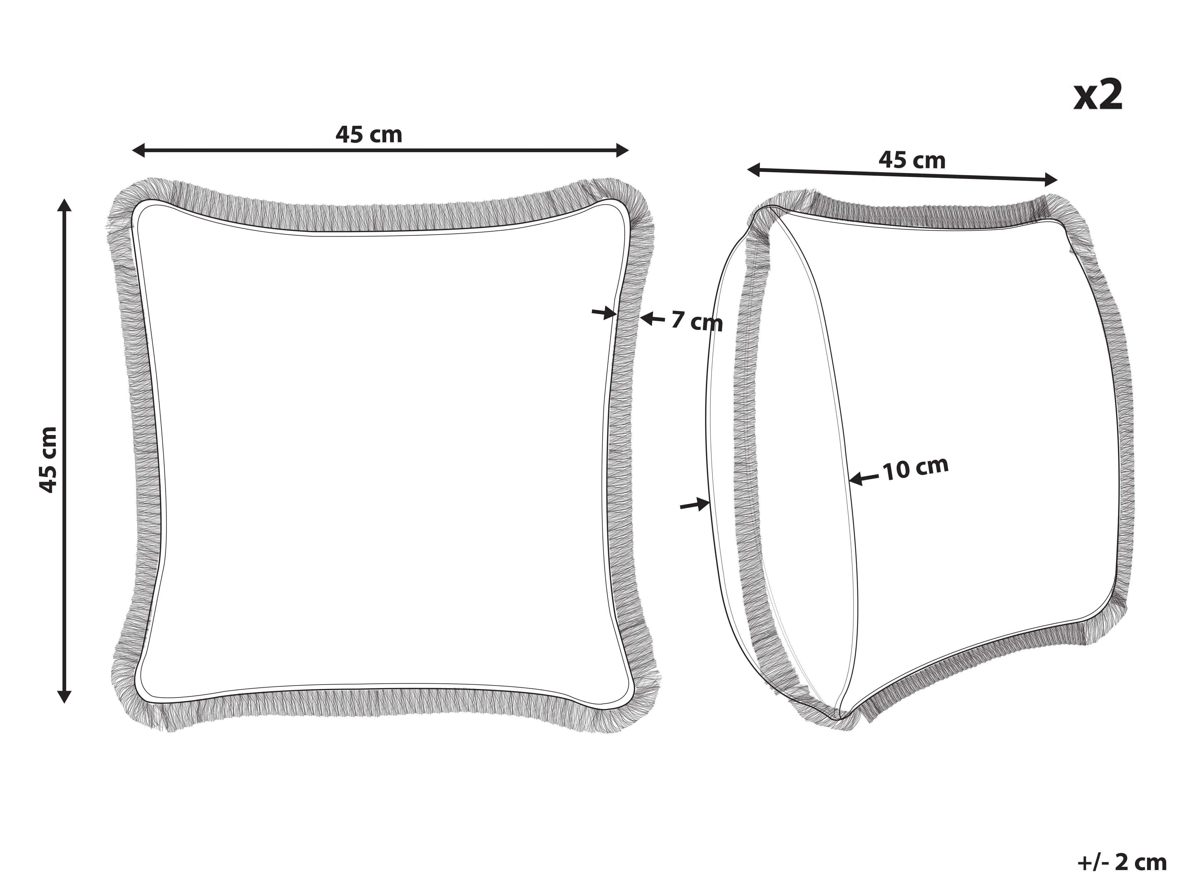 Set van 2 sierkussens MITELLA Fluweel 45 x 45 cm Blauw bloempatroon