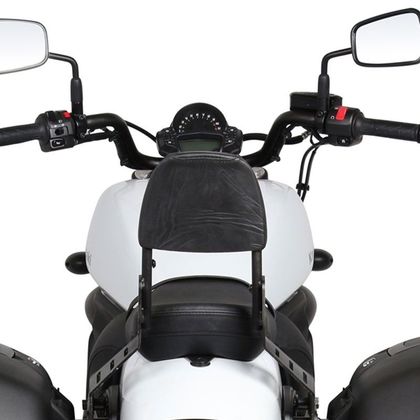 Sissy bar Shad Custom