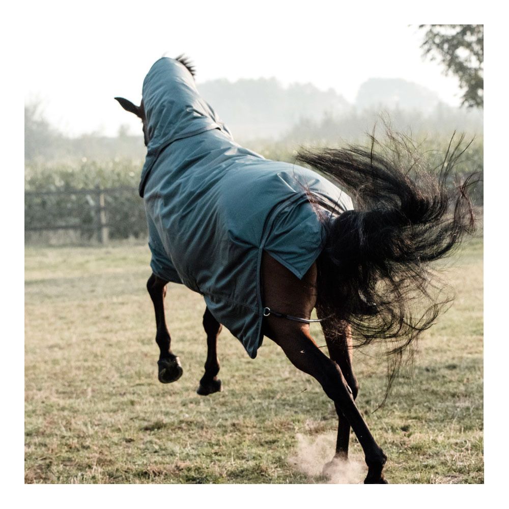 Kentucky ALL WEATHER WATERPROOF PRO 160G - Couverture de paddock dark green