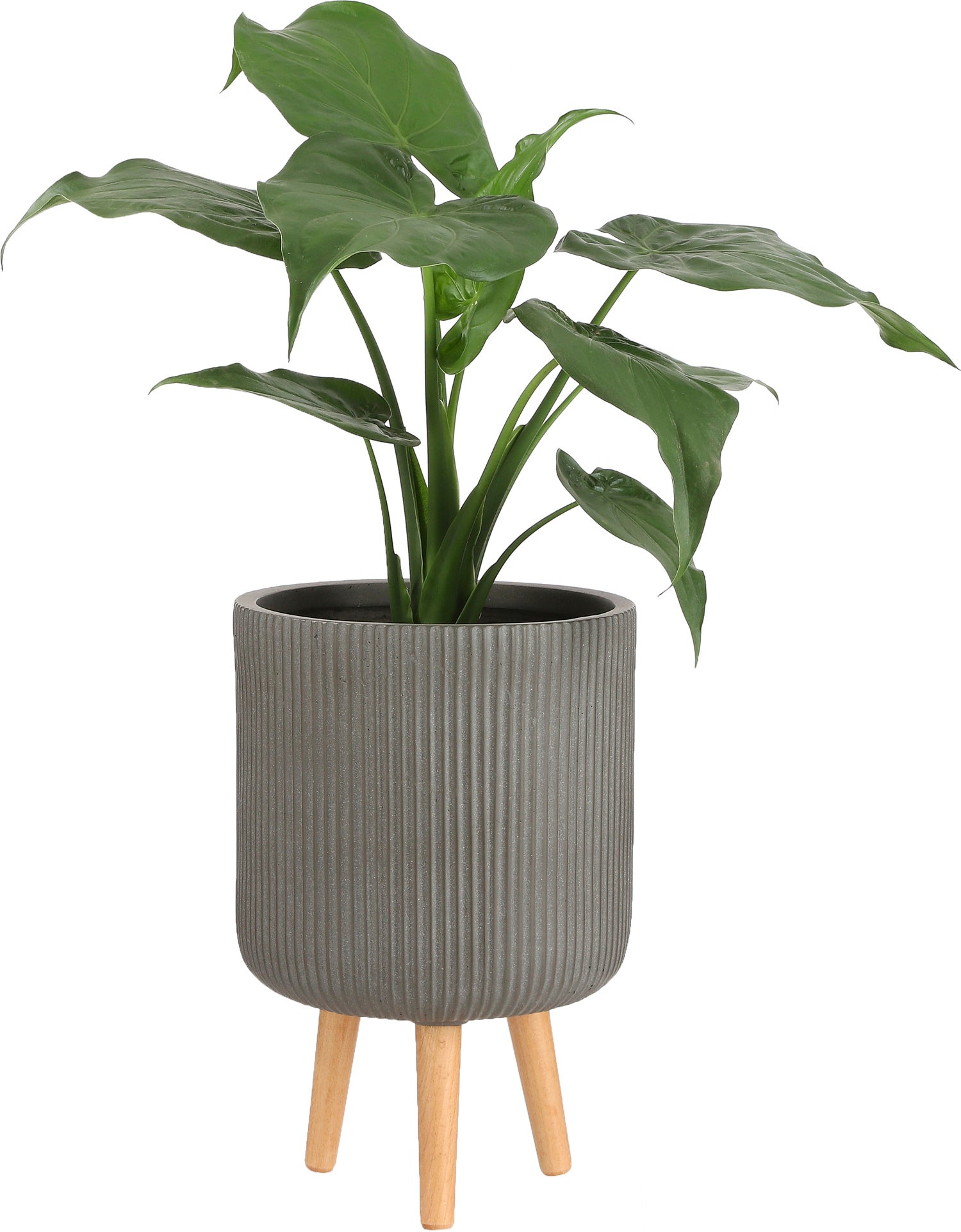 Mica Decorations bloempot op poten Nuovo bruin D 30,5 H 46 cm