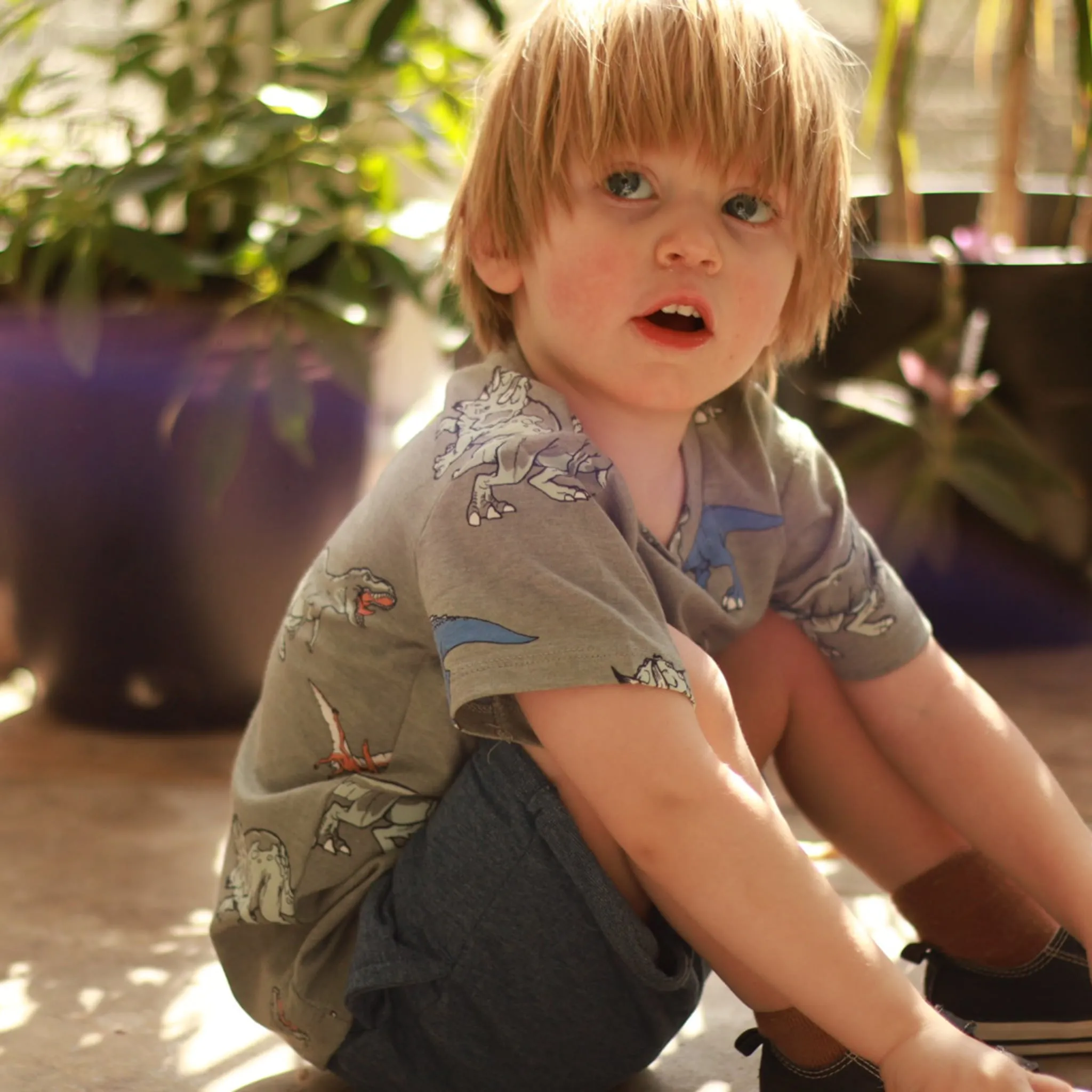 Harlo T-Shirt Dinosaures 2-8ans