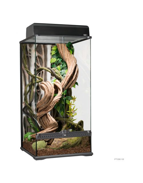 Exo Terra Paludarium - Terraria - 45x45x90 cm
