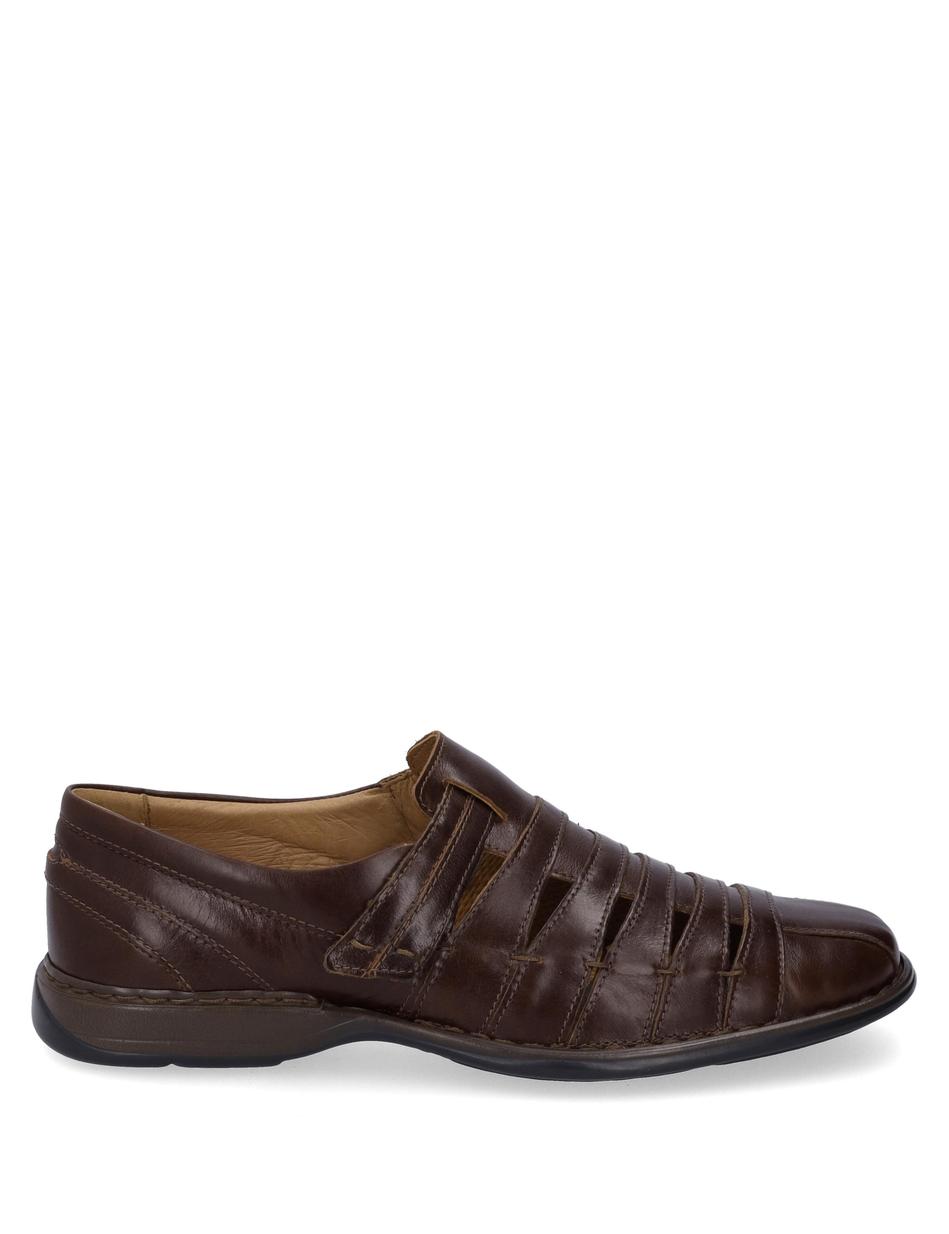 Slipper Steven, marone