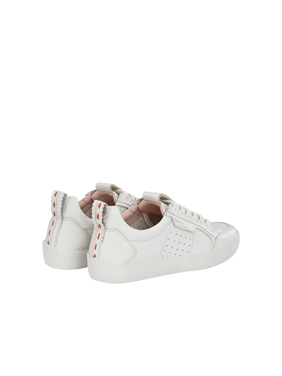 SNEAKER MAILA