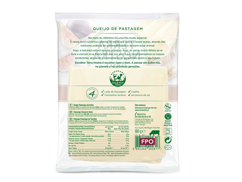 QUEIJO TERRA NOSTRA CURADO FATIAS 180G