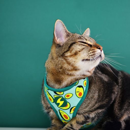 Coleira Dashi Neo Mesh Verde Abacate para Cães Grandes