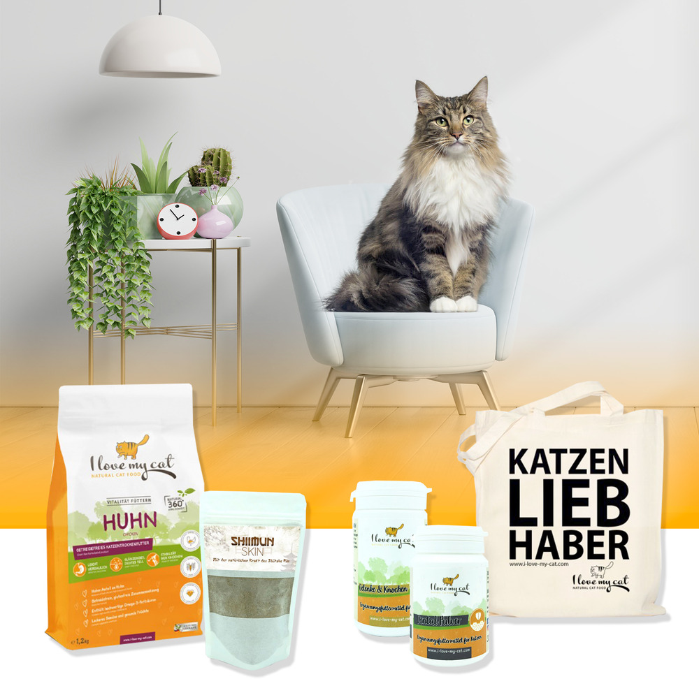 Sparset für norwegische waldkatze