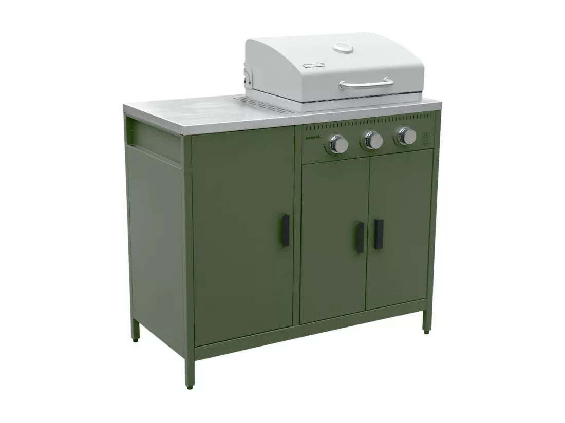 Barbecue gaz 3 brûleurs. vert. 3 portes et 2 espaces de rangement