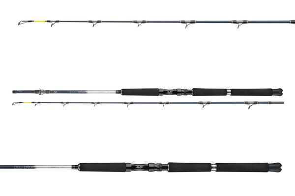 Canne Bateau Pêche en Mer Daiwa Leobritz Deepdrop 2.15m (200-600g)