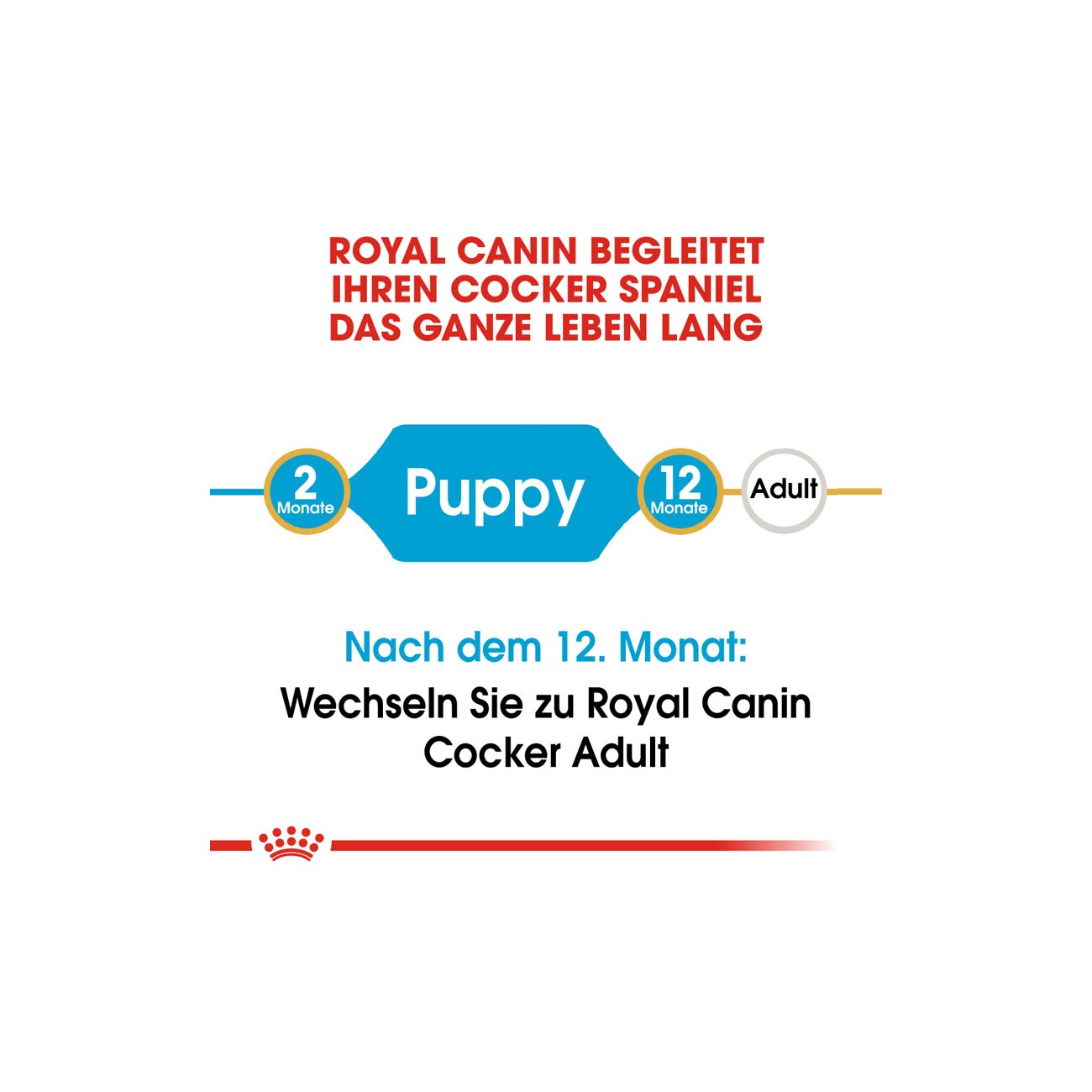 ROYAL CANIN Cocker Puppy 3kg