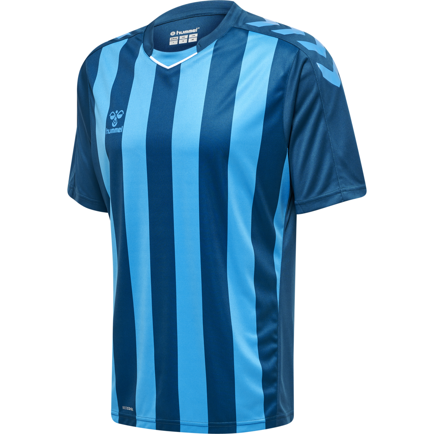 hmlCORE XK STRIPED JERSEY S/S
