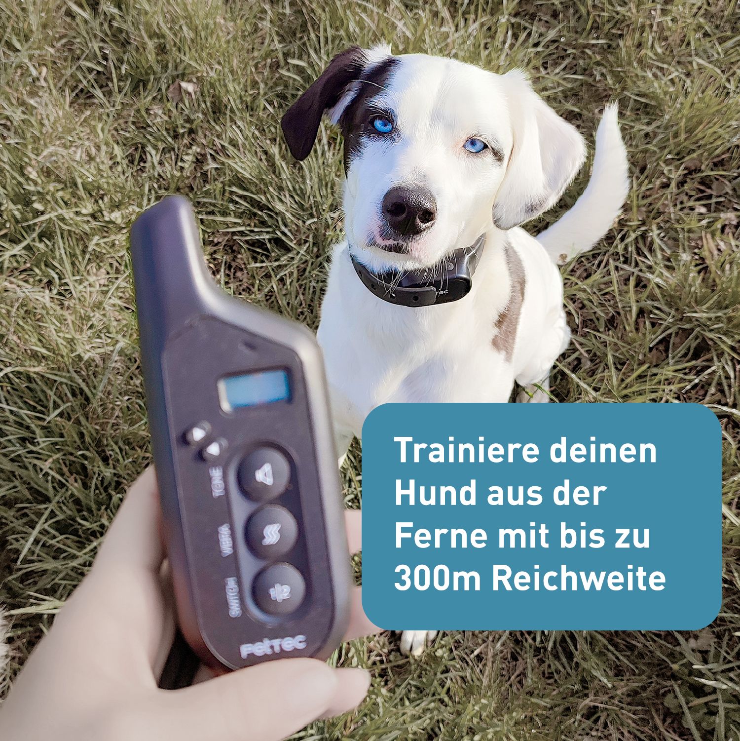 PetTec Ton- & Vibrations Ferntrainer