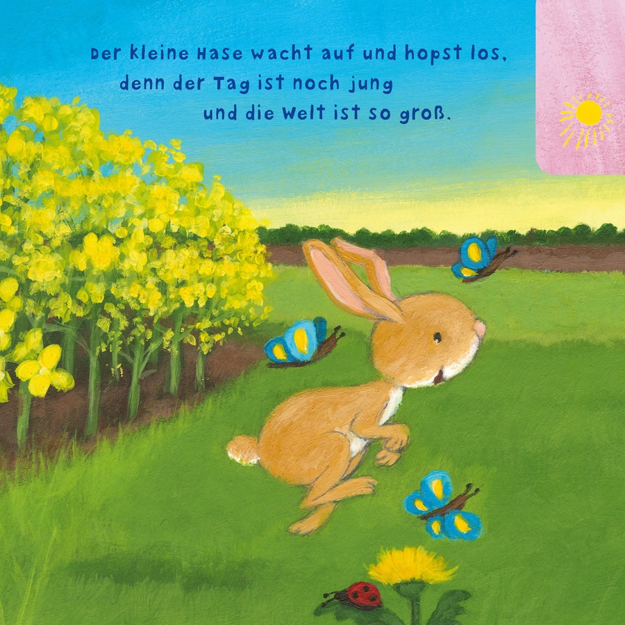 CARLSEN Baby Pixi (unkaputtbar) 97: Der kleine Hase
