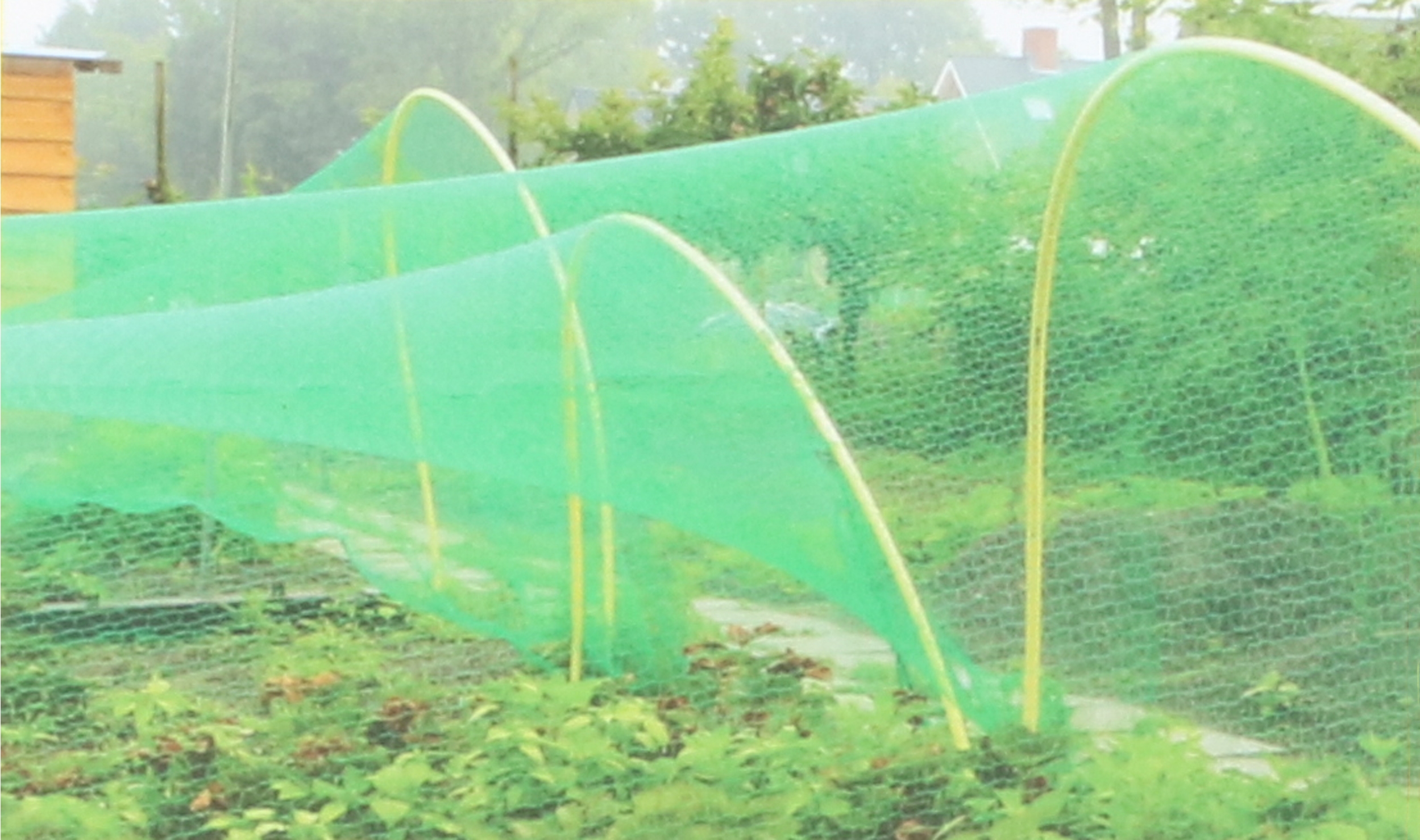 Vogelschutznetz 5 x 4 m