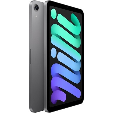 iPad Apple Mini 8,3