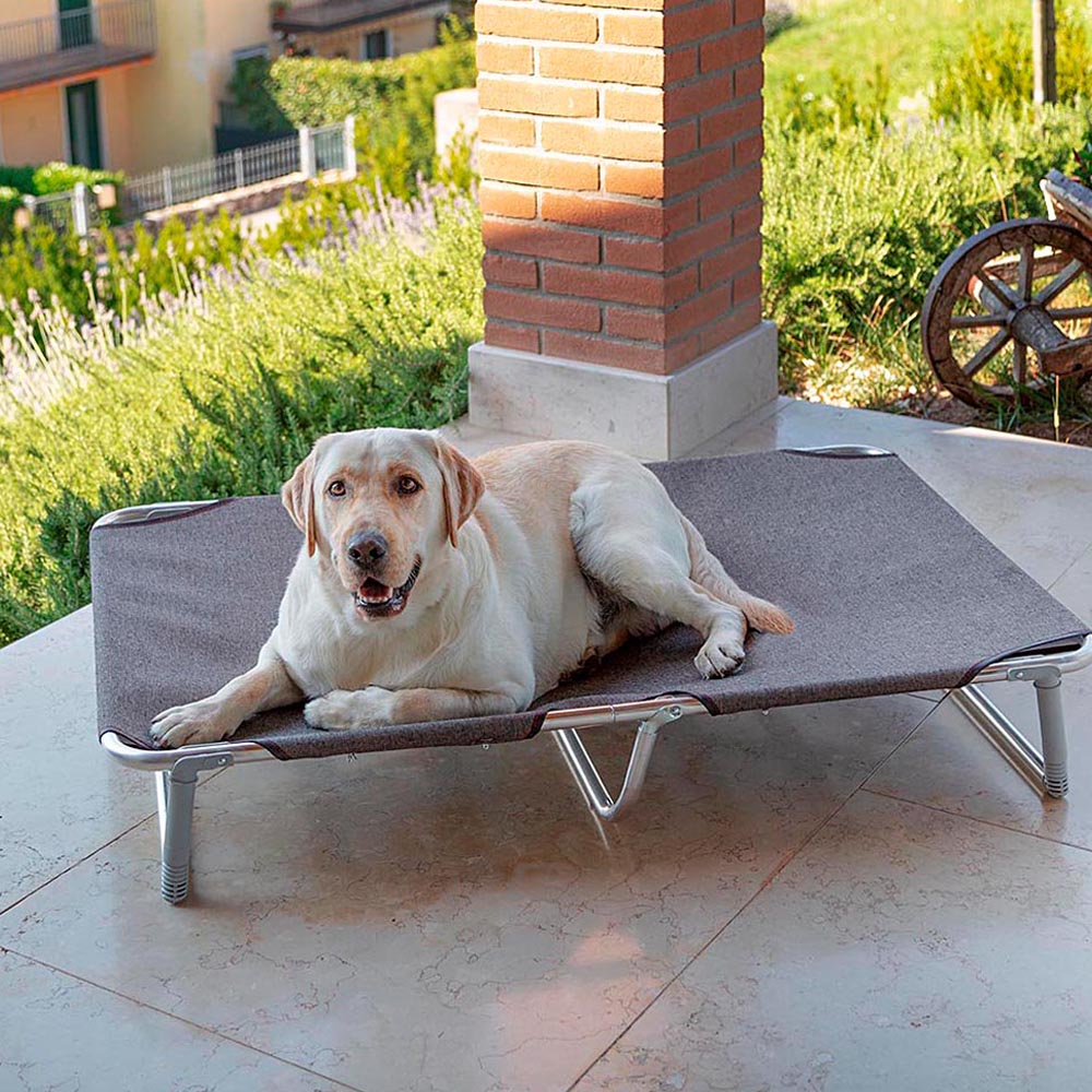 Ferplast lit pliable pour chiens dream 115, avec structure solide en aluminium avec élastiques renforcés, toile en tissu, 119 x 79