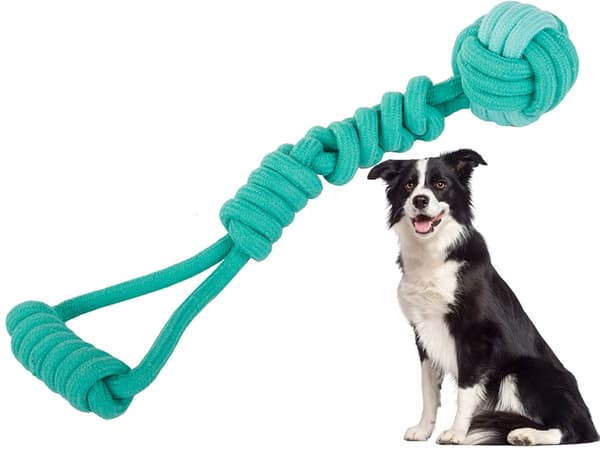 Draleke / Kampleke for Hund – Hundeleke