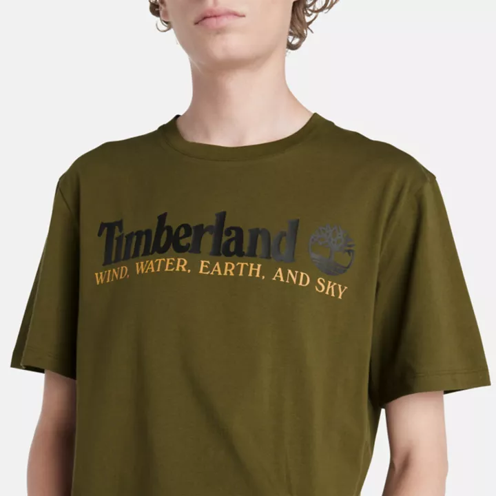 Camiseta masculina verde com estampa de vento, água, terra e céu.