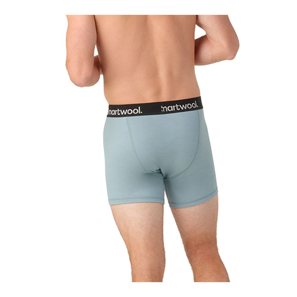 Smartwool BRIEF - Boxer Homme lead
