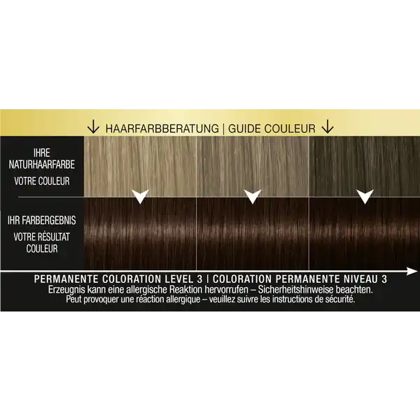 Professional Performance Oleo Intense Permanente Öl-Coloration 4-86 Schokoladenbraun