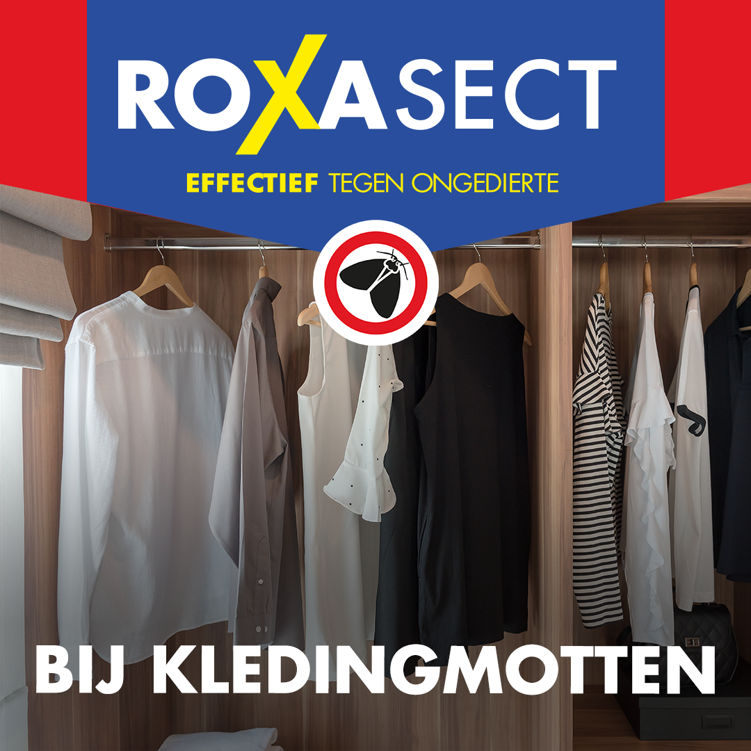 Roxasect Mottenval (1 stuk)