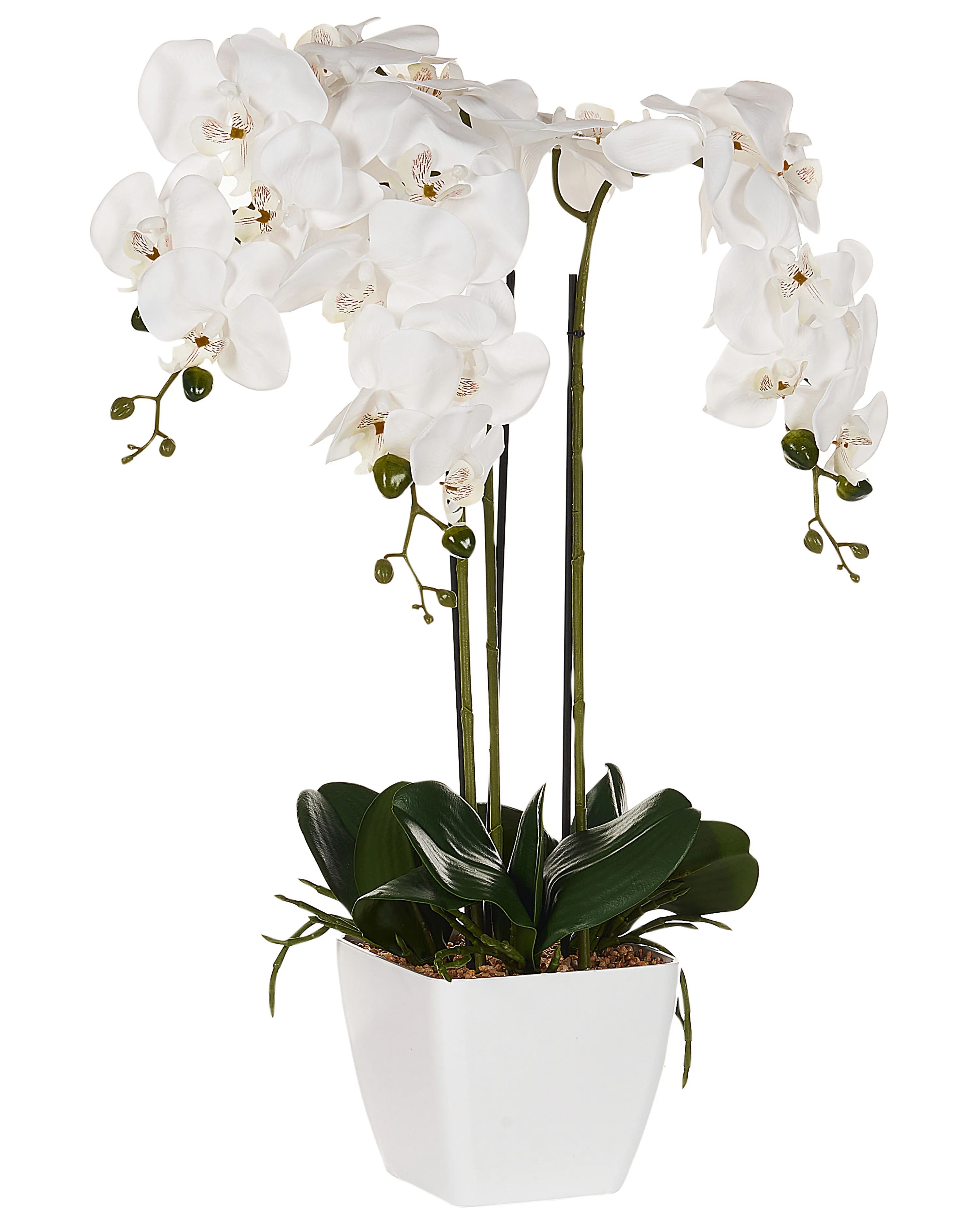 Kunstplant ORCHID 59 cm Wit