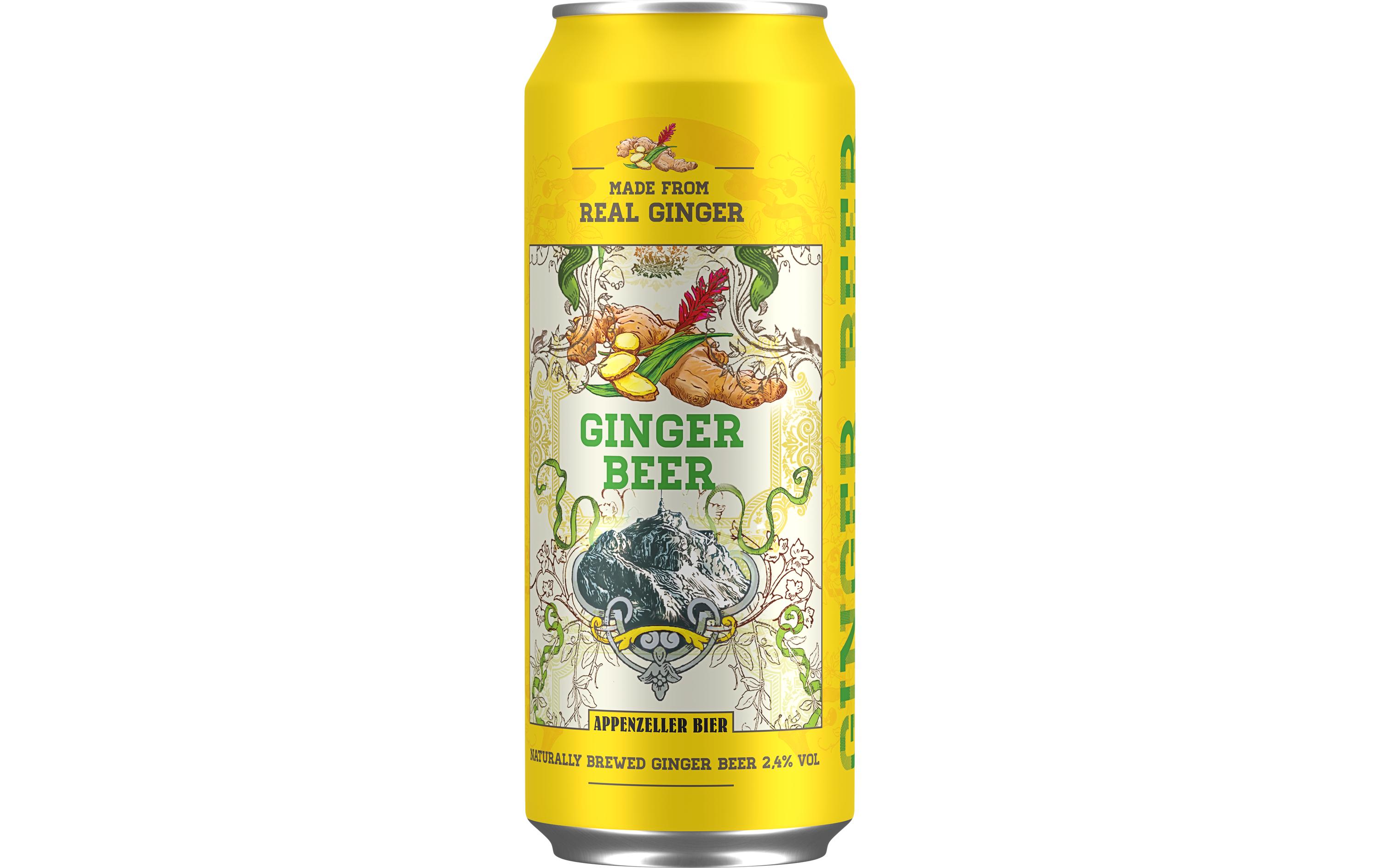 Bier Ginger-Beer 6 x 0.5 lIngwerbier
