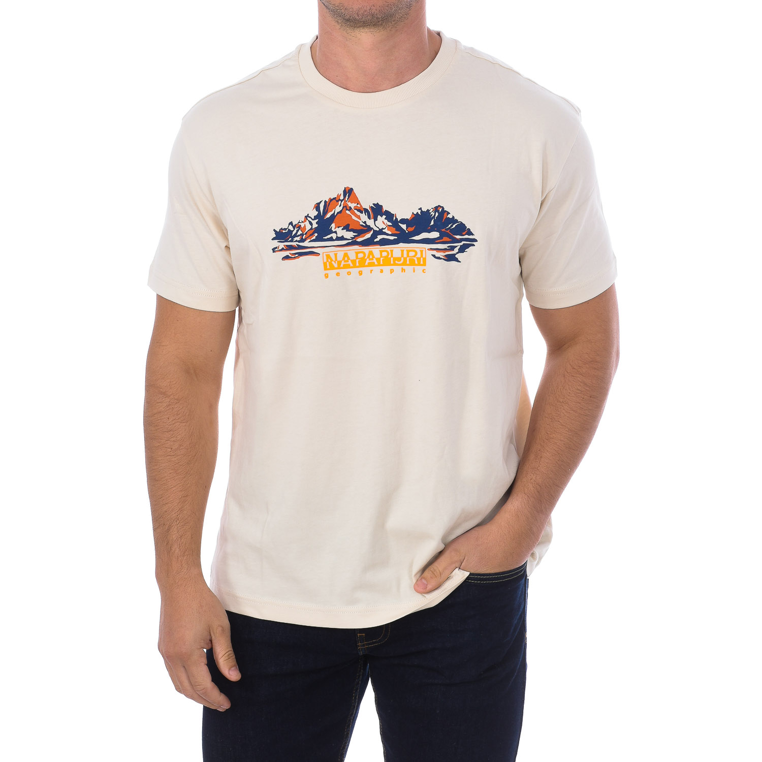 Camiseta S-backcountry Ss Np0a4gm1