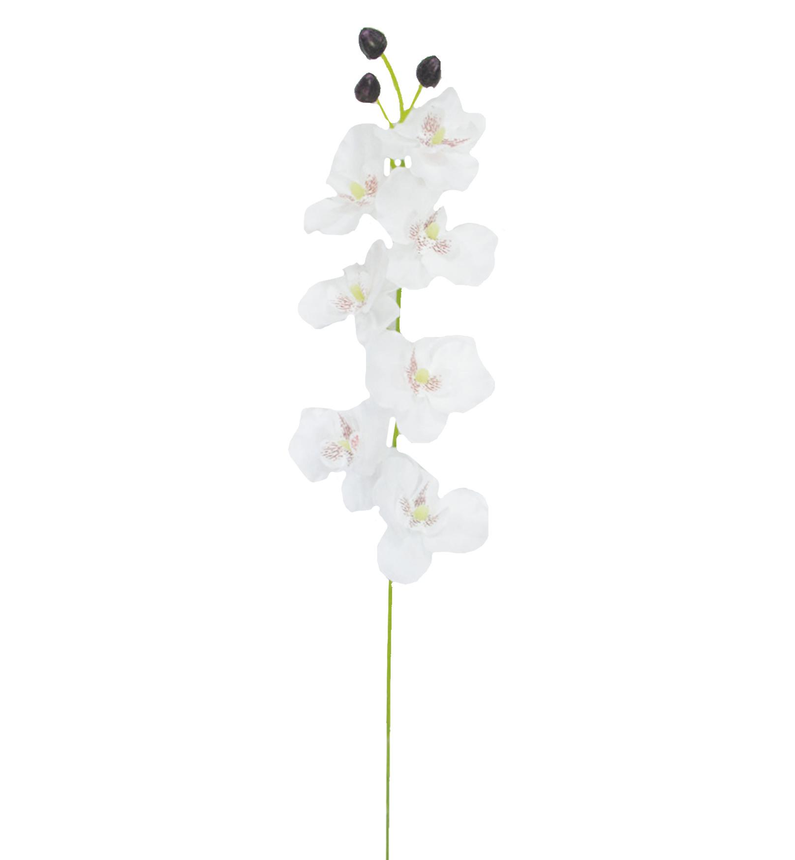 TIGE ORCHIDEES 7 FLEURS H.65CM BLANC